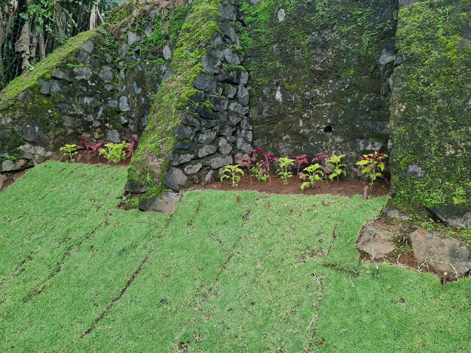 Hello Kandy Homestay Bagian luar foto
