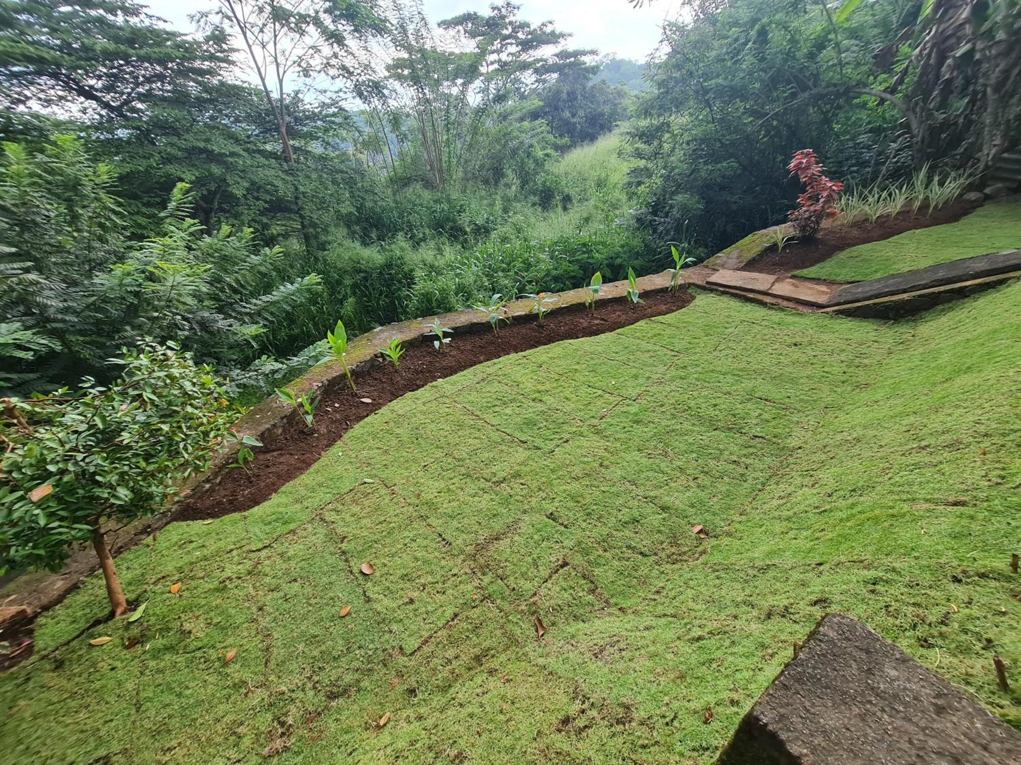 Hello Kandy Homestay Bagian luar foto